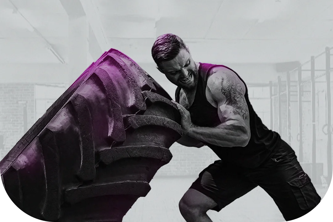 Bootcamp management software by Wellyx