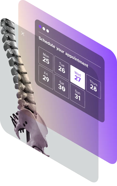 Chiropractic management software by Wellyx