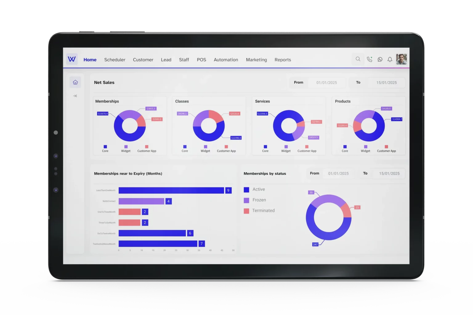 Wellyx sales dashboard