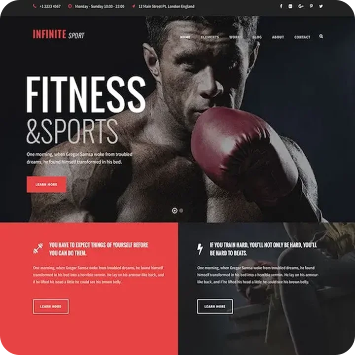 Wellyx fitness website theme